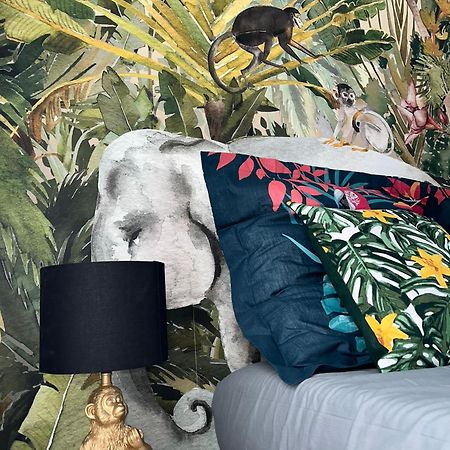 Studio Tropical , Vierzon , Proche Gare , Tout Confort Eksteriør bilde