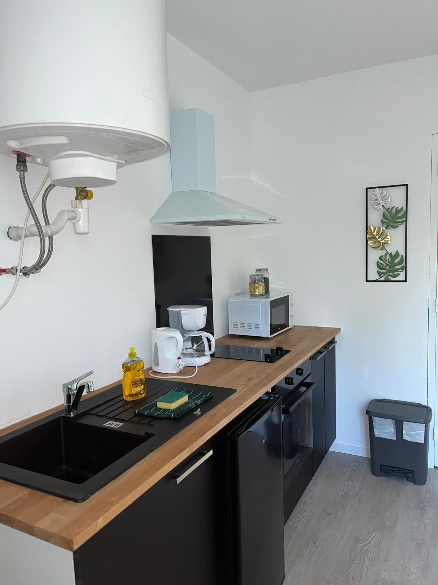 Studio Tropical , Vierzon , Proche Gare , Tout Confort Eksteriør bilde
