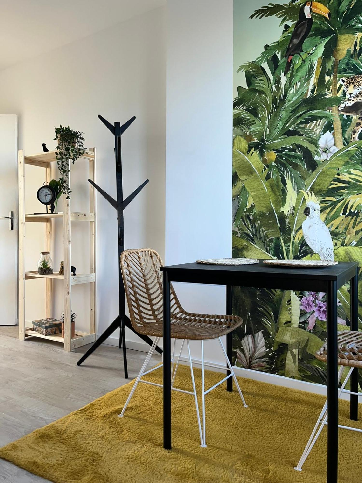 Studio Tropical , Vierzon , Proche Gare , Tout Confort Eksteriør bilde