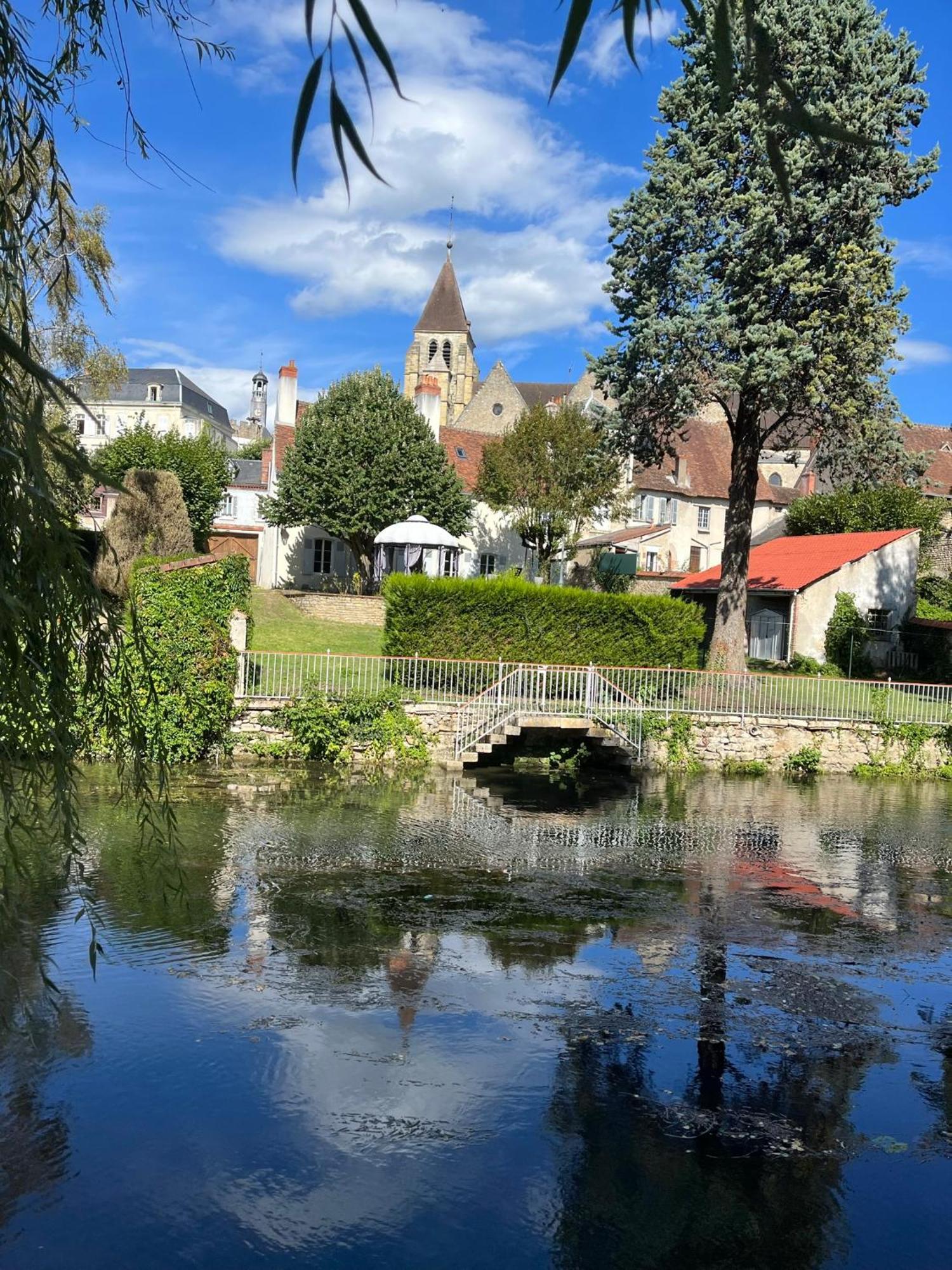 Studio Tropical , Vierzon , Proche Gare , Tout Confort Eksteriør bilde